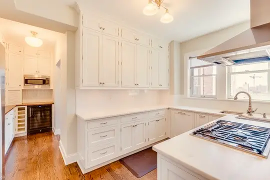 5000 S Cornell Avenue #9A, Chicago, IL 60615 - Image #2