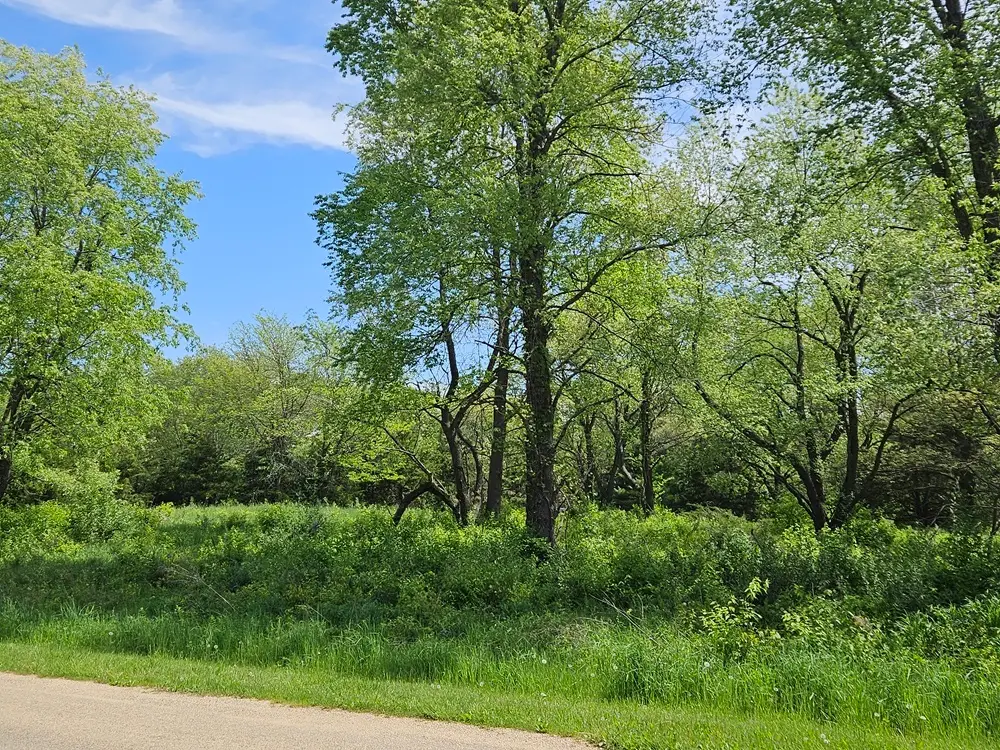 226 Platte Drive, Dixon, IL 61021 - #1