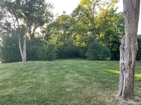 #3