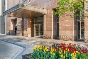 161 E Chicago Avenue #38C, Chicago, IL 60611 - Image #1