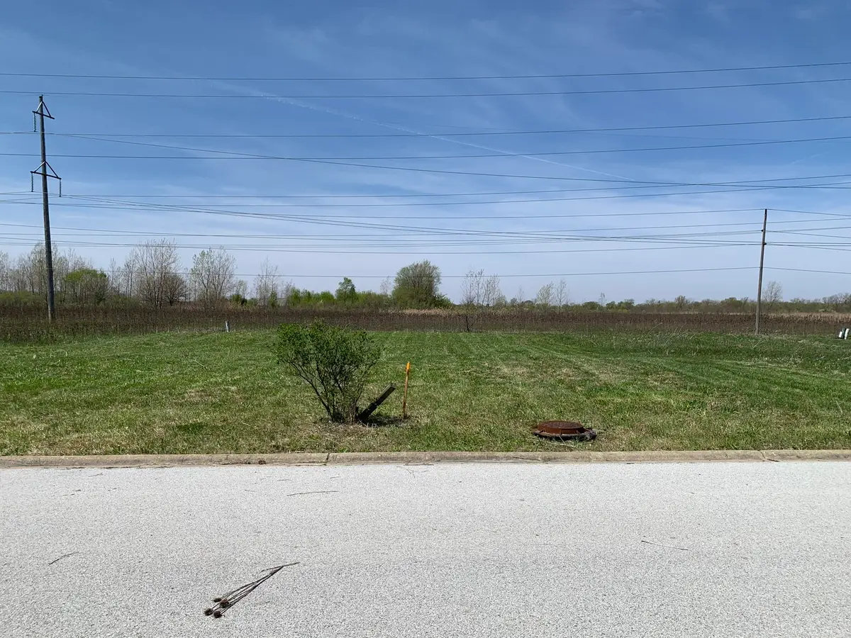 19700 Ambry Circle, Lynwood, IL 60411 - #1