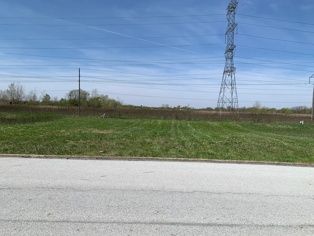 19676 Ambry Circle, Lynwood, IL 60411 - #1