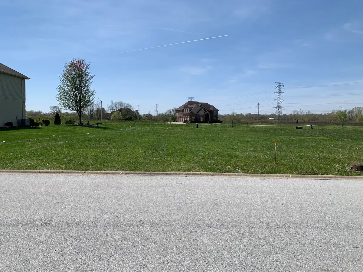 2065 Ambry Circle, Lynwood, IL 60411 - #1