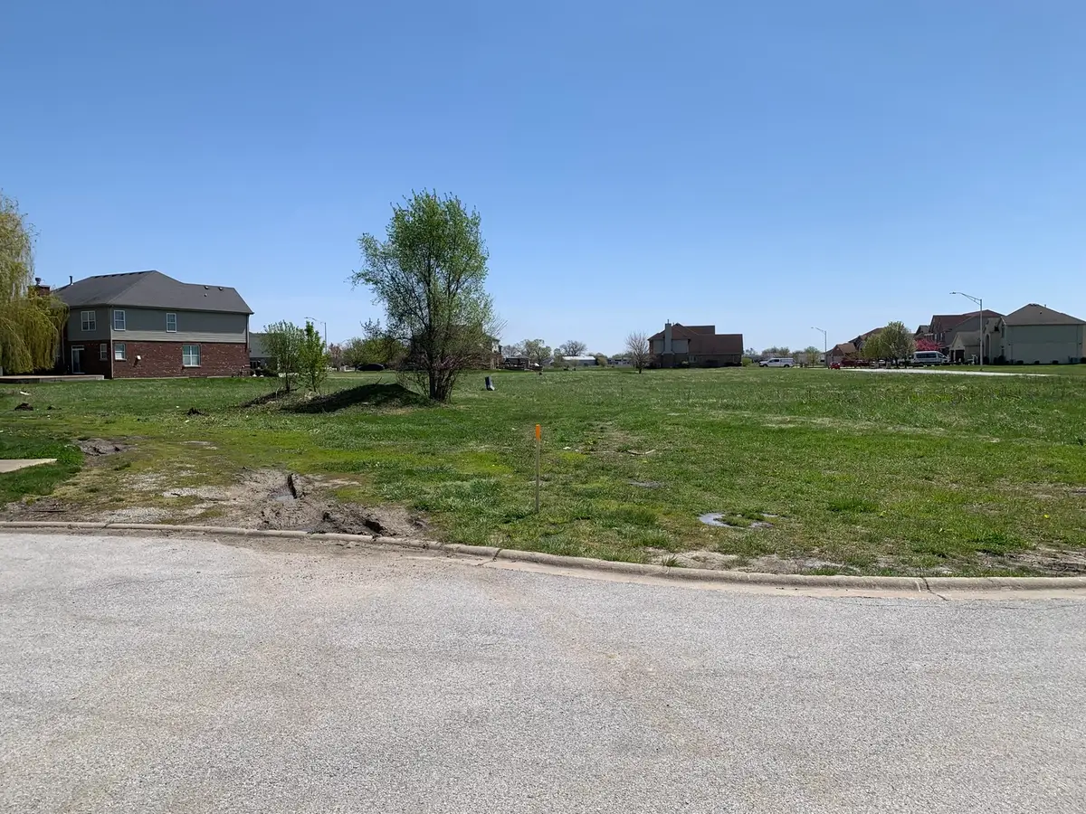 19641 Christina Place, Lynwood, IL 60411 - Image #1