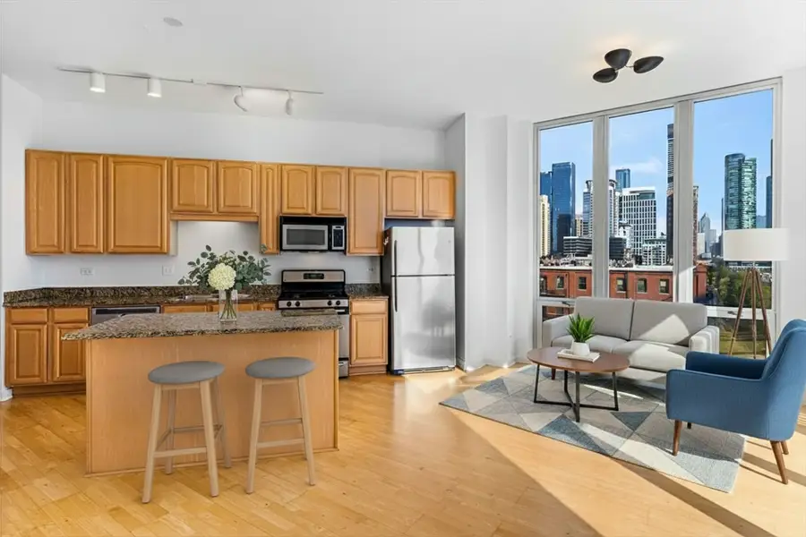 1600 S Indiana Avenue #908, Chicago, IL 60616 - Image #3