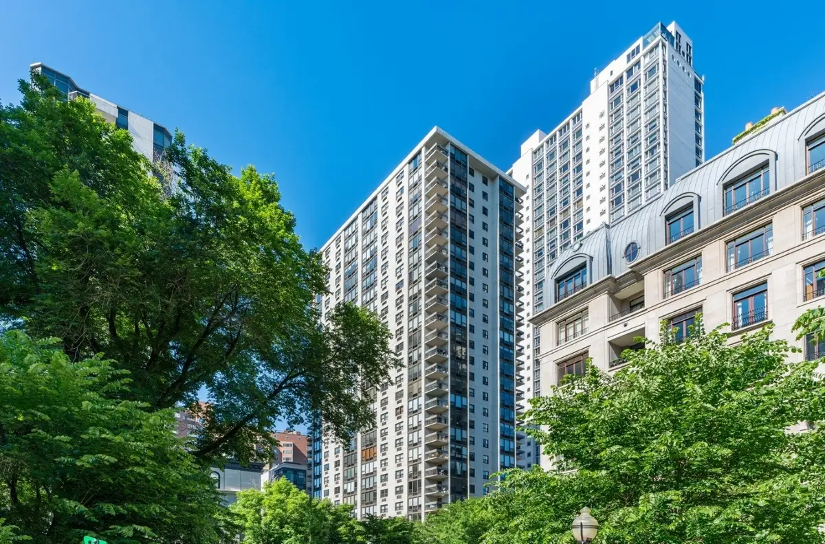 1313 N Ritchie Court #2401, Chicago, IL 60610 - Image #1