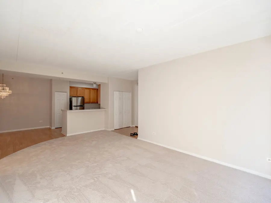 1715 Pavilion Way #205, Park Ridge, IL 60068 - Image #3