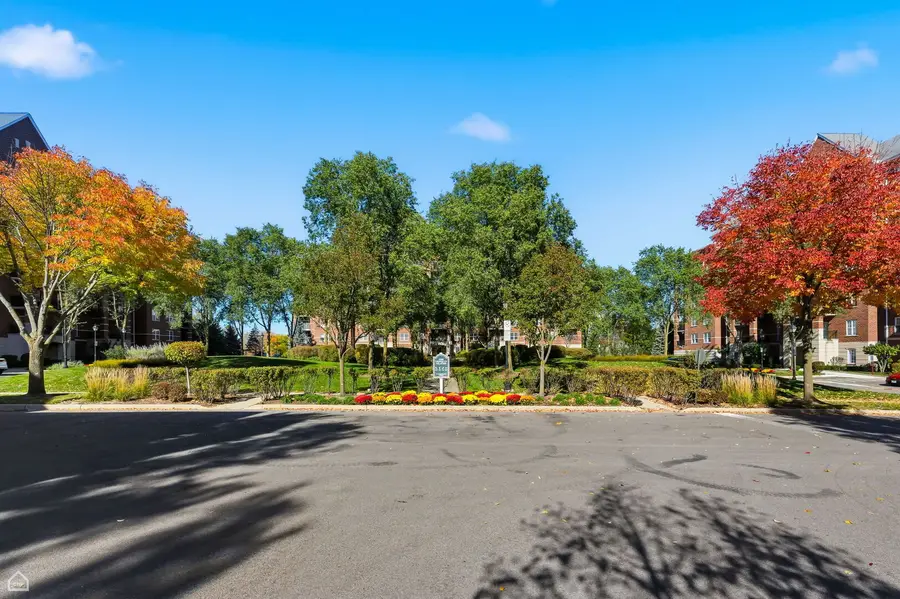 440 W Mahogany Court #303, Palatine, IL 60067 - Image #3