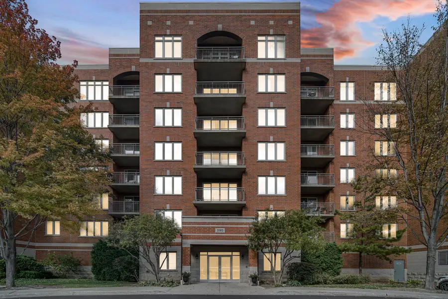 390 S Western Avenue #604, Des Plaines, IL 60016 - Image #2
