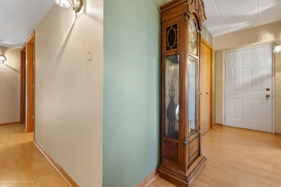 15722 Old Orchard Court #1E, Orland Park, IL 60462 - Image #3