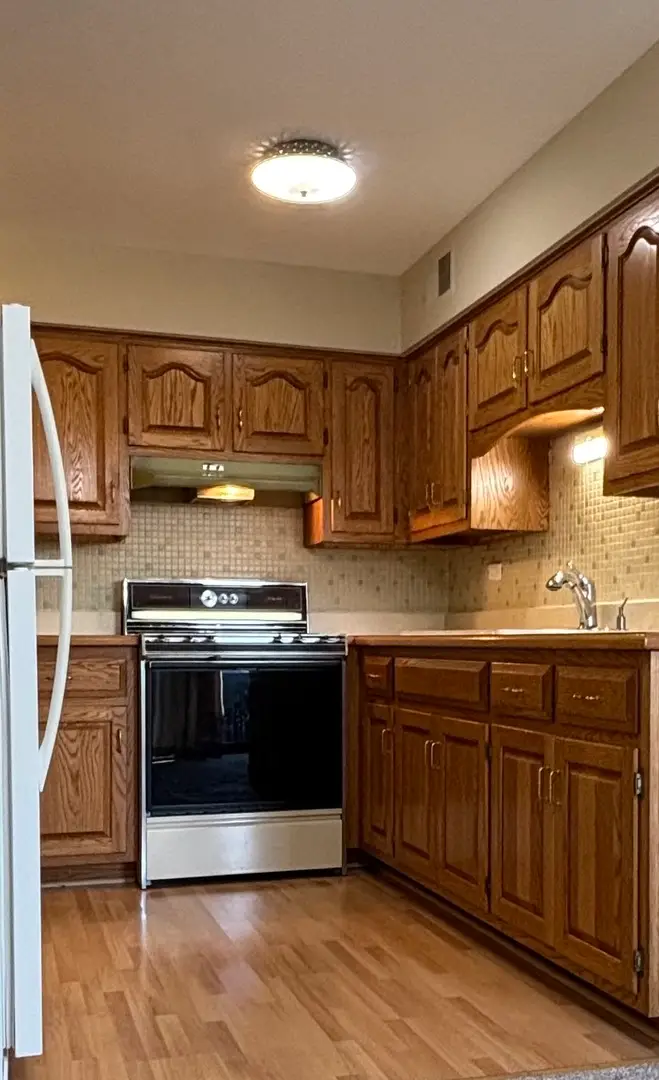 10851 S Keating Avenue #1D, Oak Lawn, IL 60453 - Image #2