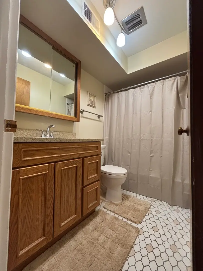 10851 S Keating Avenue #1D, Oak Lawn, IL 60453 - Image #3