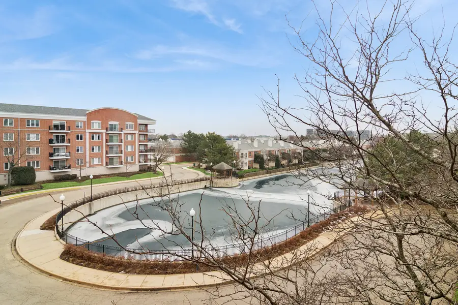 451 Town Place Circle #411, Buffalo Grove, IL 60089 - Image #2