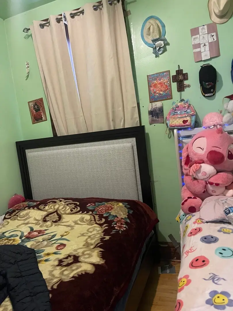 2531 S Avers Avenue, Chicago, IL 60623 - Image #3