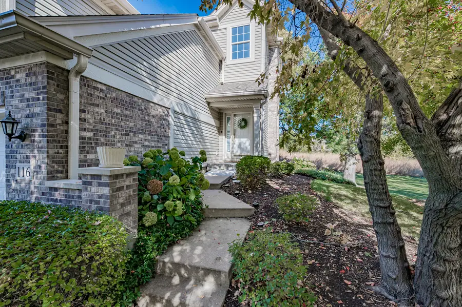 116 River Mist Drive, Oswego, IL 60543 - Image #3