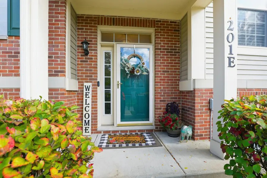 201 N Louis Street #E, Mount Prospect, IL 60056 - Image #2