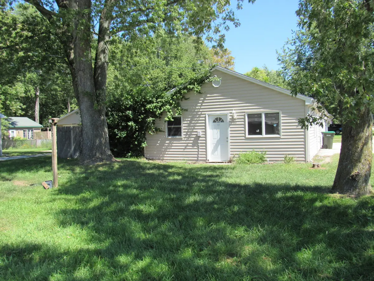 303 N Division Street, Braidwood, IL 60408 - Image #1
