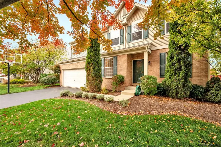 316 Gregory M Sears Drive, Gilberts, IL 60136 - Image #3