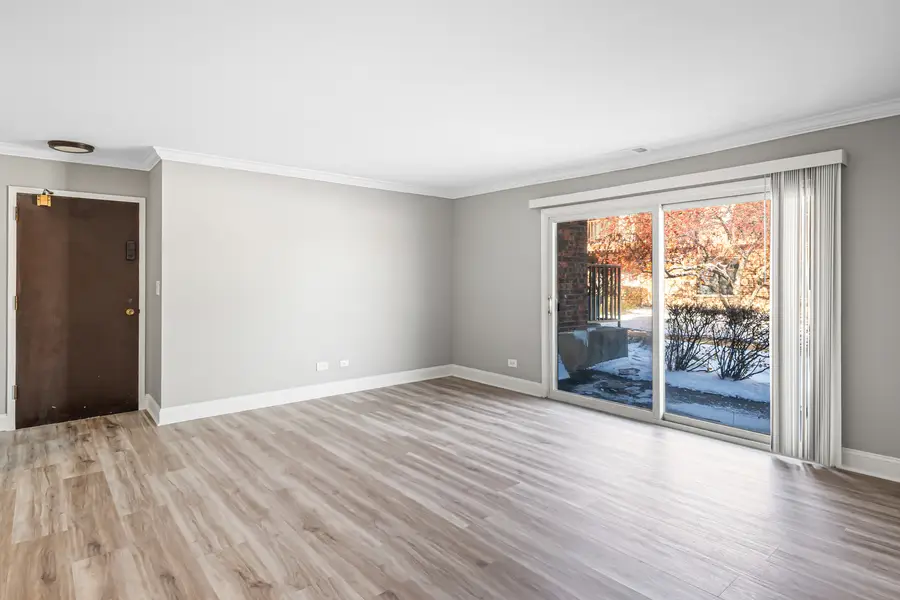 629 Derry Court #1A, Schaumburg, IL 60193 - Image #3