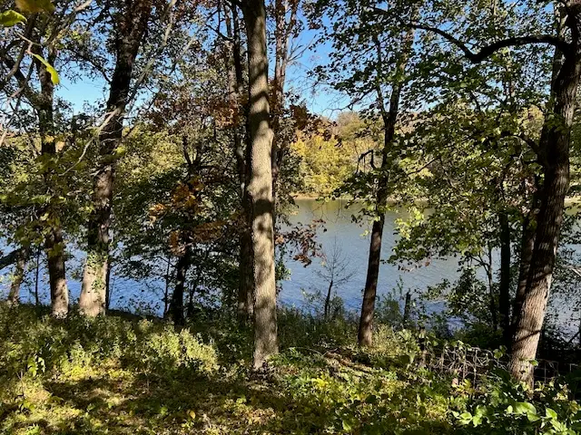 21112 W Highway 113, Custer Park, IL 60481 - Image #2