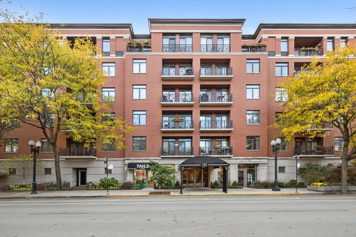 1414 N Wells Street #407, Chicago, IL 60610 - Image #1