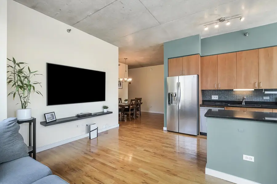 1720 S Michigan Avenue #308, Chicago, IL 60616 - Image #3