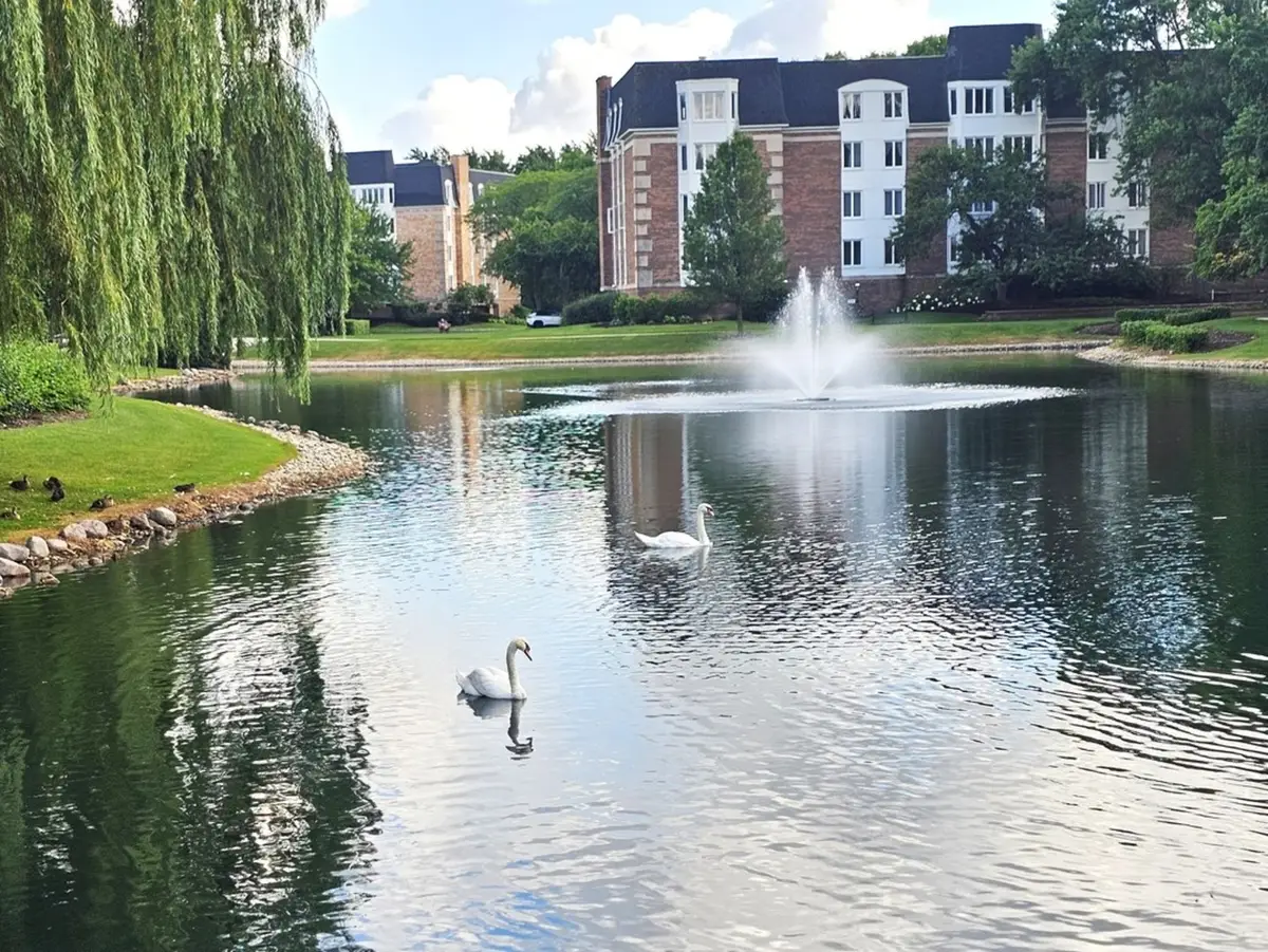 150 Lake Boulevard #125, Buffalo Grove, IL 60089 - Image #1