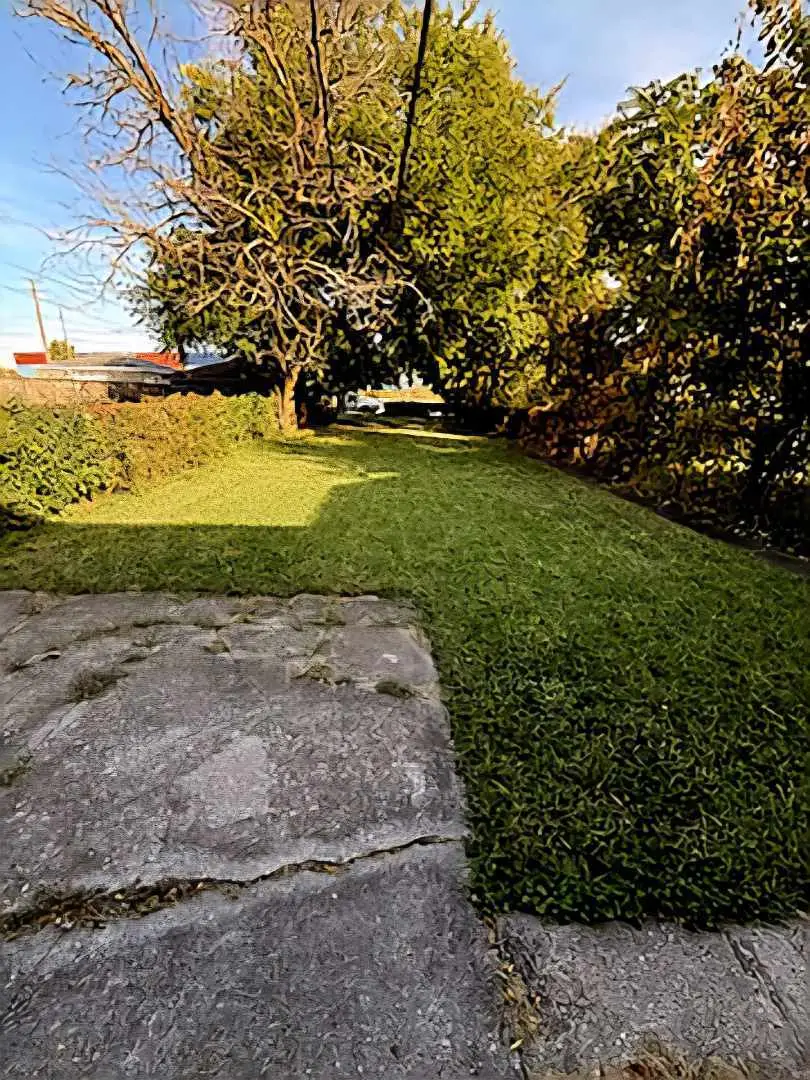 9011 S Morgan Street, Chicago, IL 60620 - Image #2