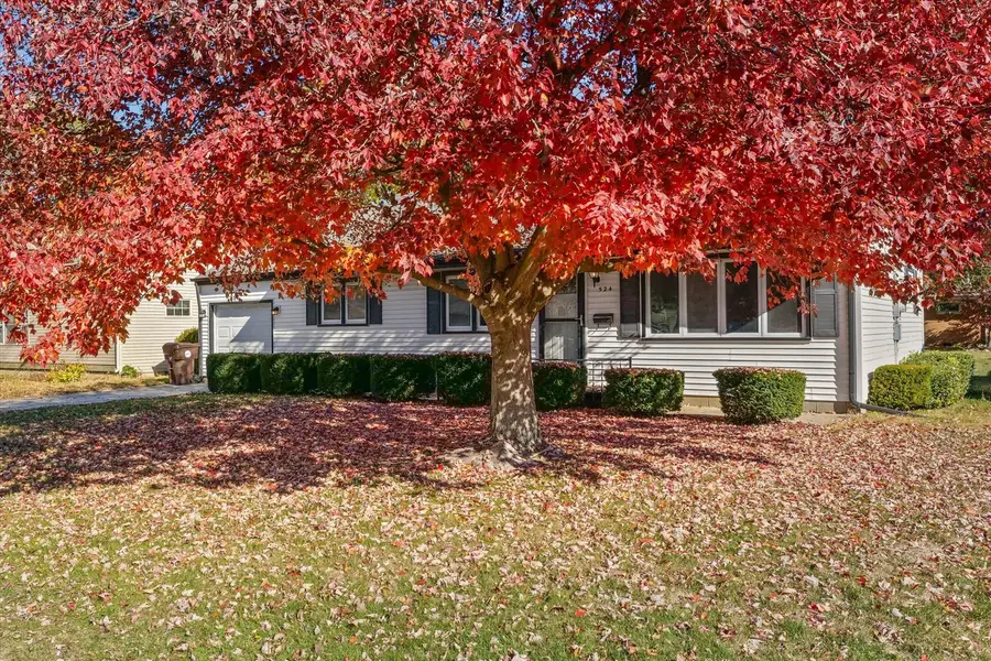 524 Gray Drive, Gibson City, IL 60936 - Image #3