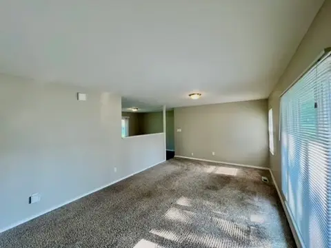 829 Princeton Avenue, Matteson, IL 60443 - Image #3