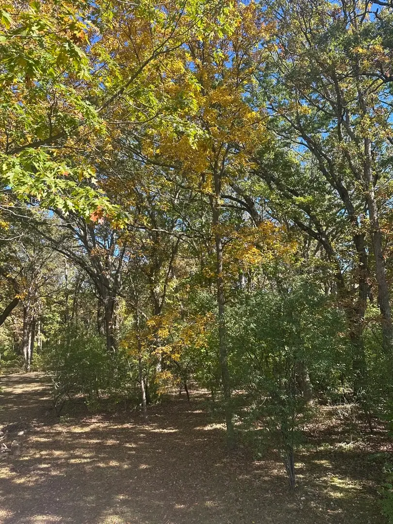 26220 N Midlothian Road, Mundelein, IL 60060 - Image #3