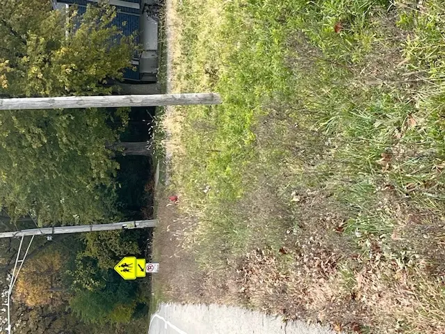 Lot 1 Reckinger Road, Aurora, IL 60505 - Image #3