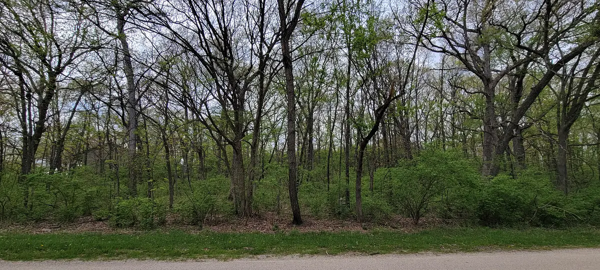 619 Mississippi Drive, Dixon, IL 61021 - Image #1