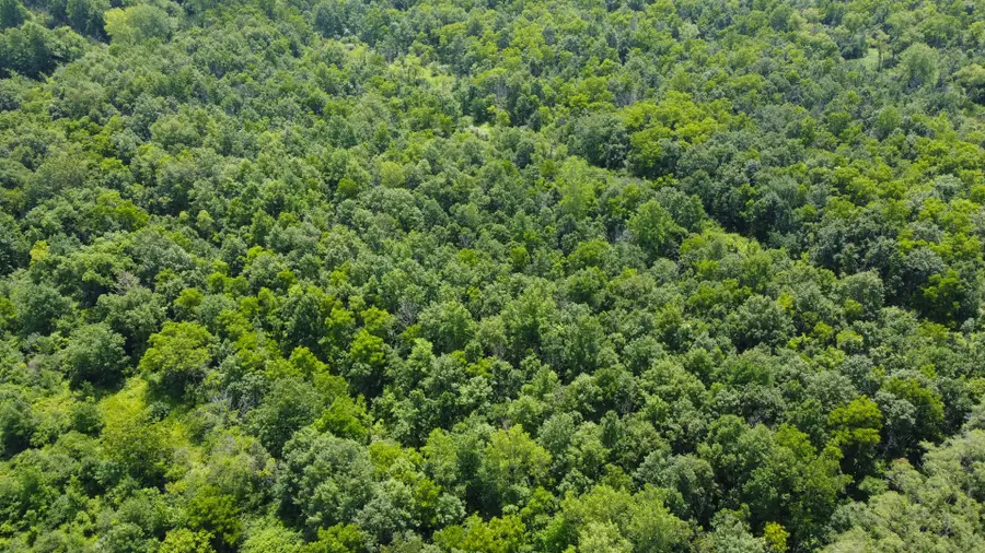 41.94 Acres Route 14, Harvard, IL 60033 - Image #3