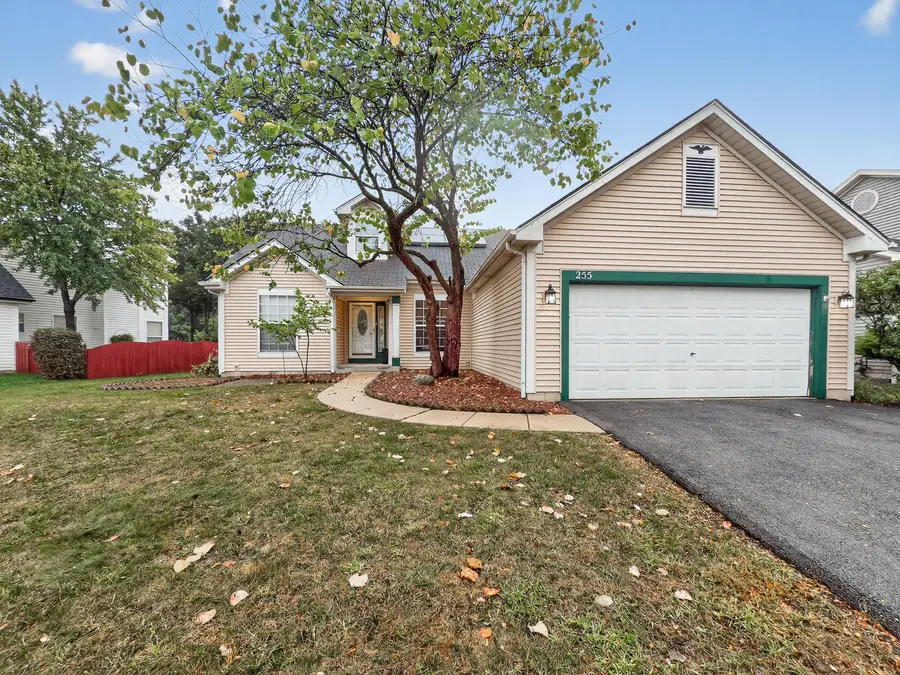 255 Braemar, Bolingbrook, IL 60440 - Image #3