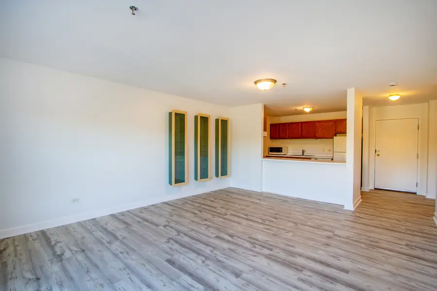 3265 Kirchoff Road #223, Rolling Meadows, IL 60008 - Image #3