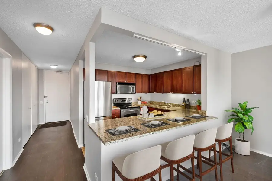 30 E Huron Street #3005, Chicago, IL 60611 - Image #2