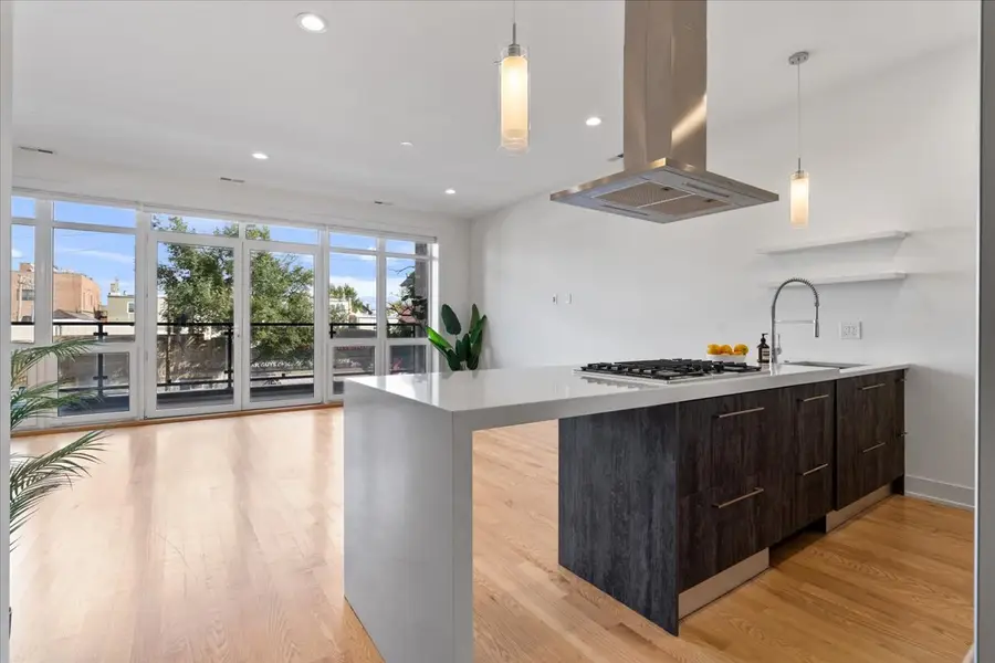 938 N California Avenue #2, Chicago, IL 60622 - Image #2