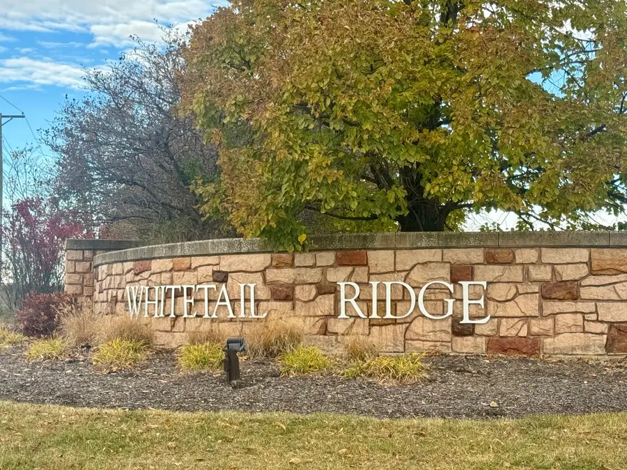 5893 Whitetail Ridge Drive, Yorkville, IL 60560 - Image #3