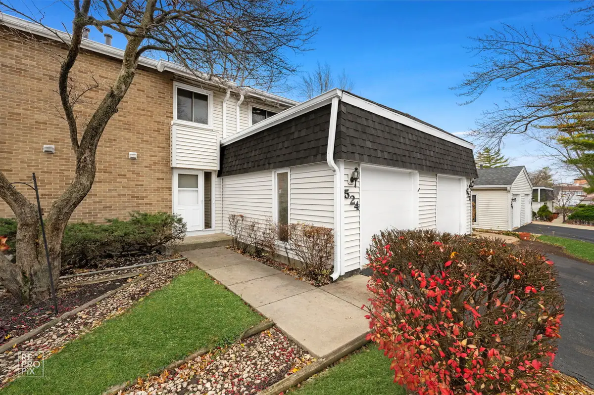 524 Jordan Way, Bolingbrook, IL 60440 - Image #1