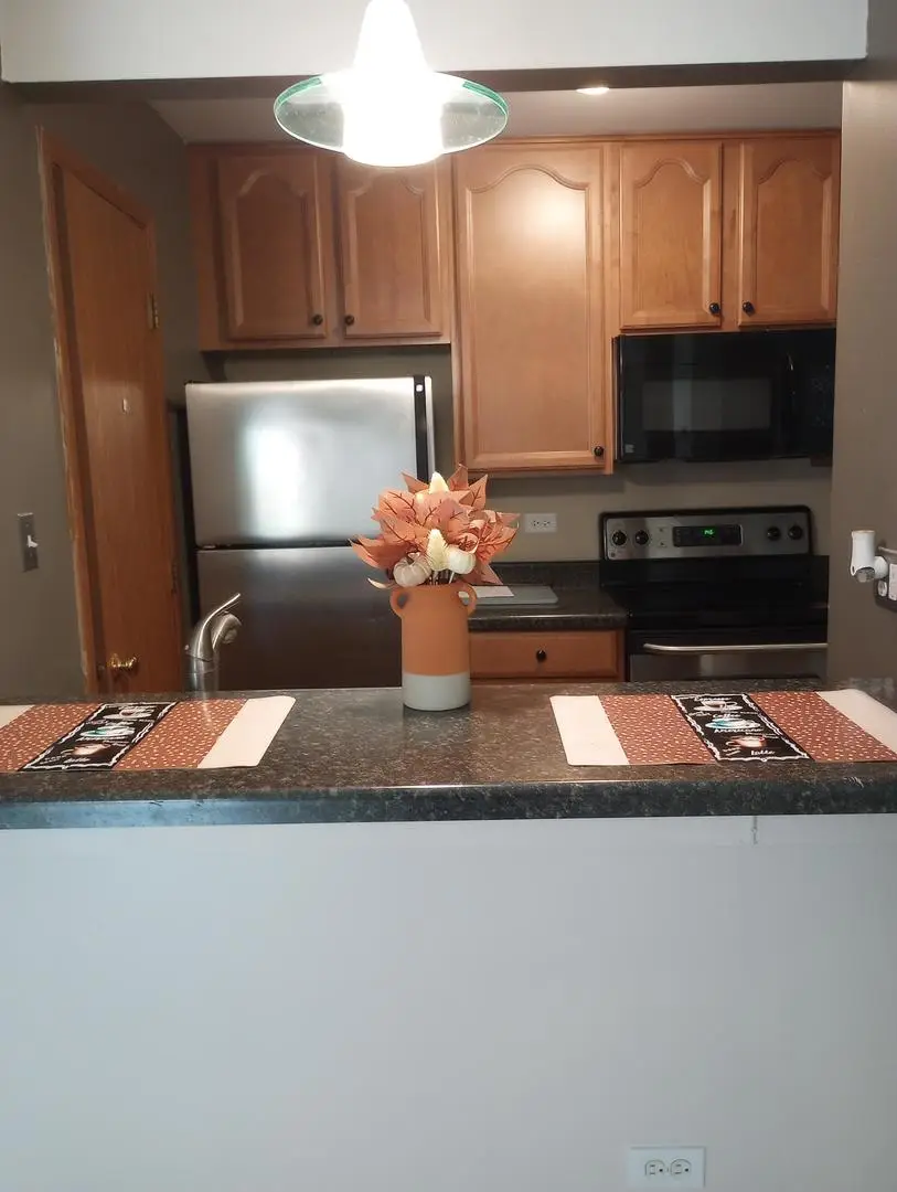 4314 W Shamrock Lane #1D, McHenry, IL 60050 - Image #2