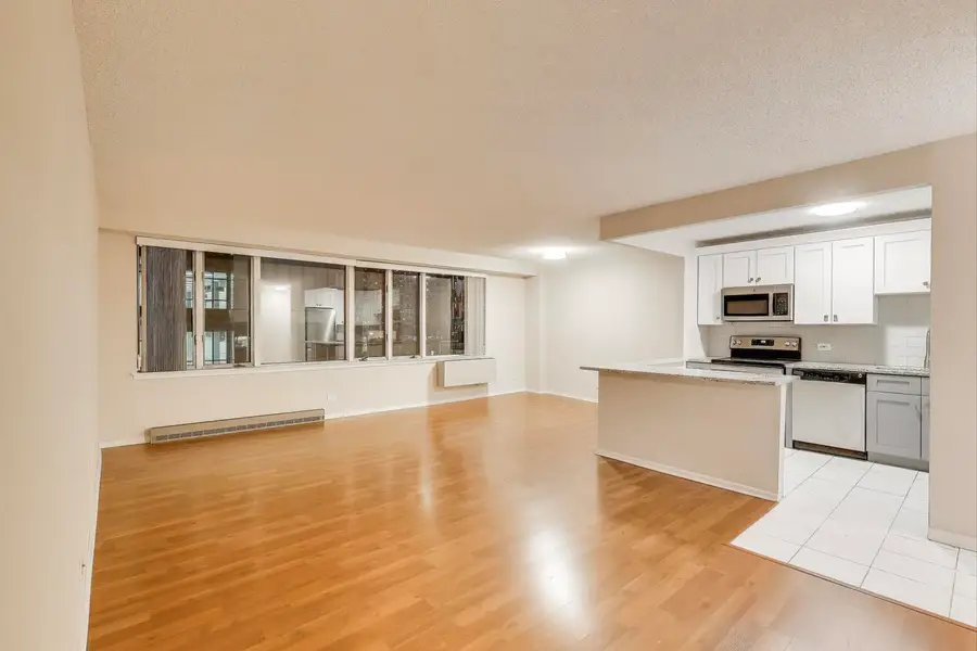 801 S Plymouth Court #711, Chicago, IL 60605 - Image #3
