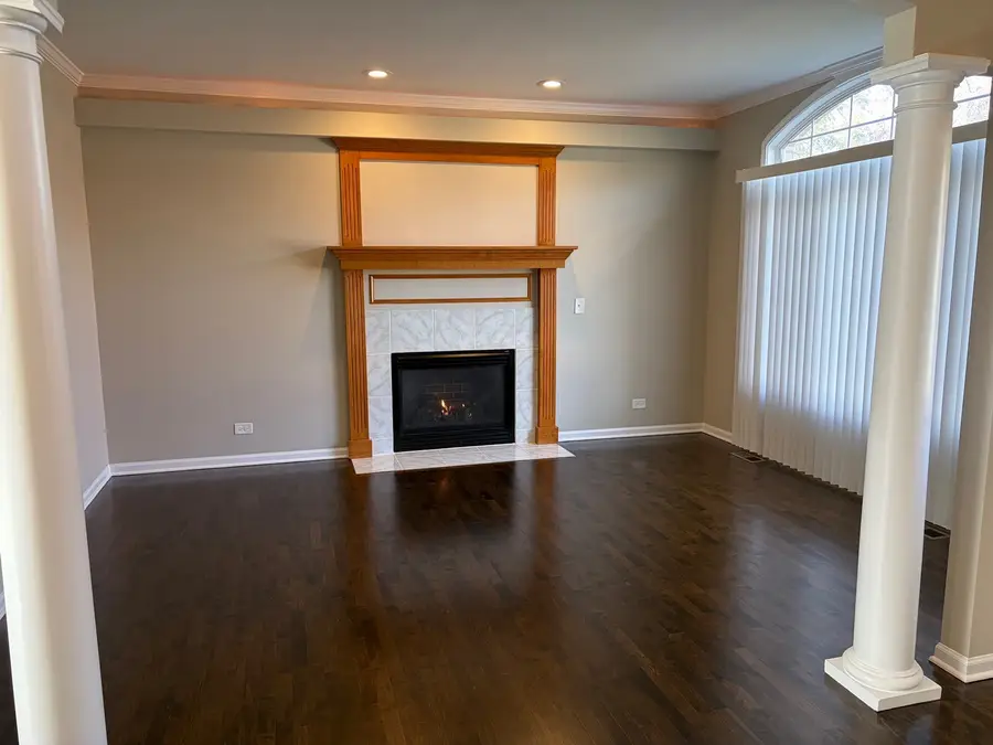 4 Alleghany Court, Bolingbrook, IL 60440 - Image #3