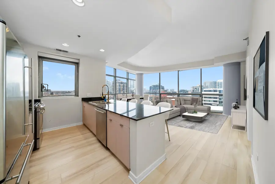 303 W Ohio Street #1407, Chicago, IL 60654 - Image #3