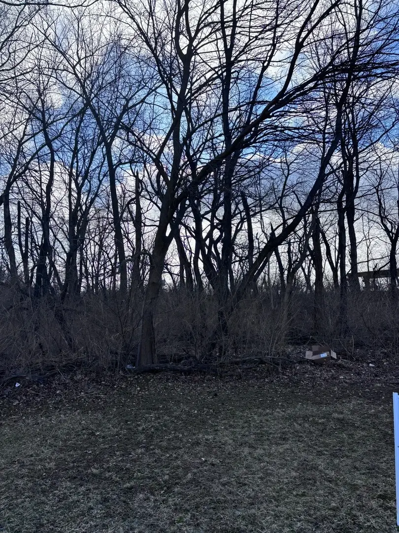 1859 Erin Lane, Morris, IL 60450 - #1