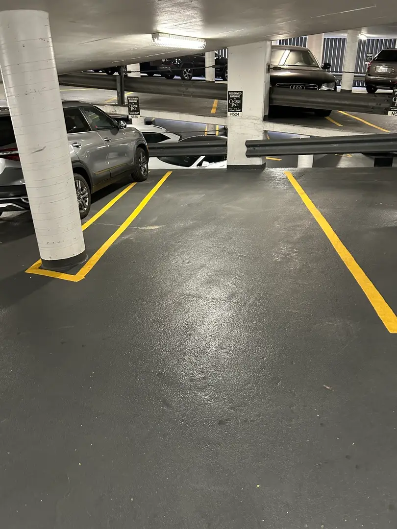 10 E Ontario Street #P524N, Chicago, IL 60611 - Image #1