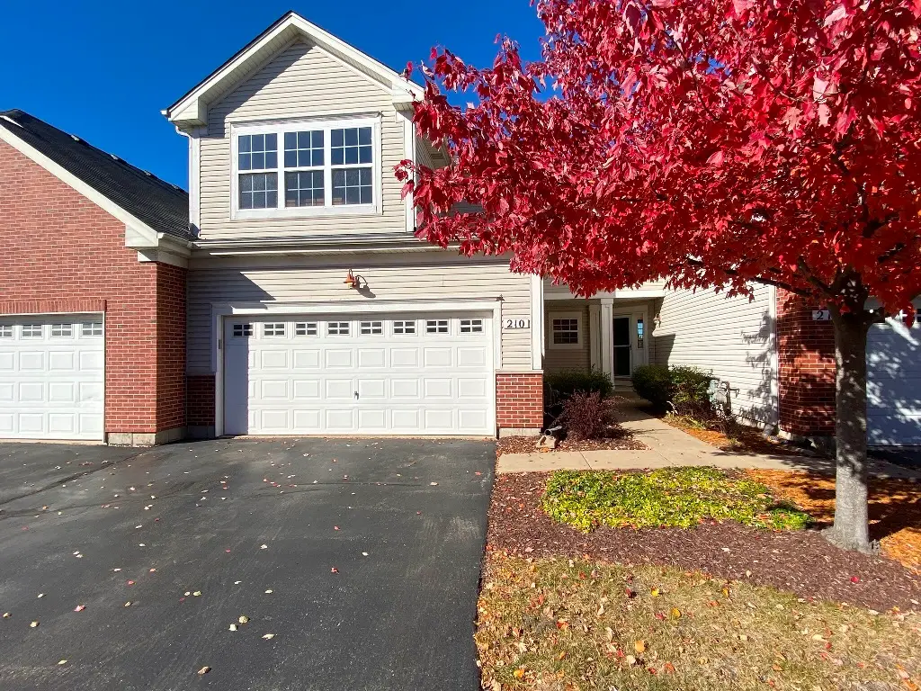 210 Dorset Avenue, Oswego, IL 60543 - Image #1