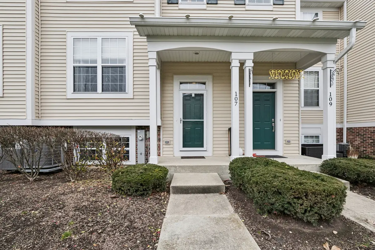 107 Terra Springs Drive, Volo, IL 60020 - Image #1