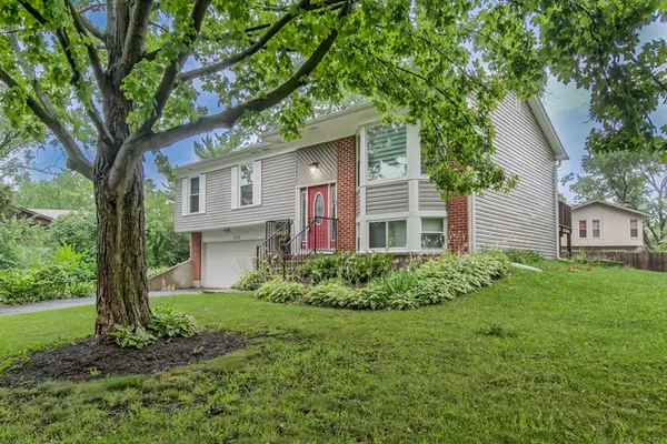 220 Falcon Ridge Way, Bolingbrook, IL 60440