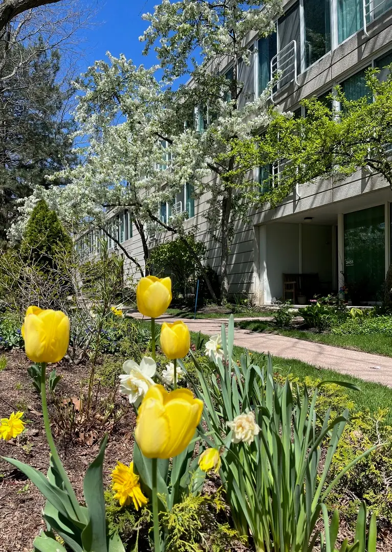 3451 Harrison Street, Evanston, IL 60201 - Image #1